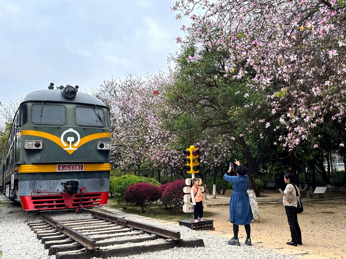 满城花香游八桂丨柳州：工业城中花如海