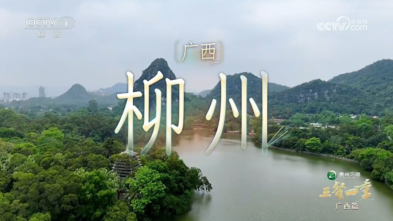 收视率全国第一！央视聚焦柳州酸辣鲜爽，端午文旅市场热度拉满